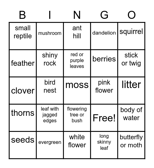 NATURE BINGO Card