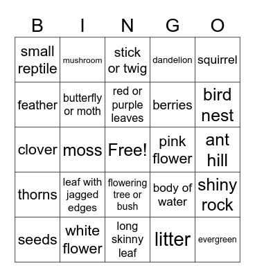 NATURE BINGO Card