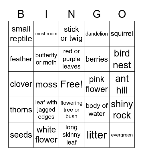 NATURE BINGO Card