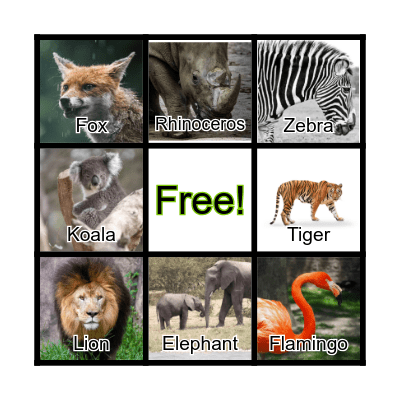 Zoo Animals Bingo Card