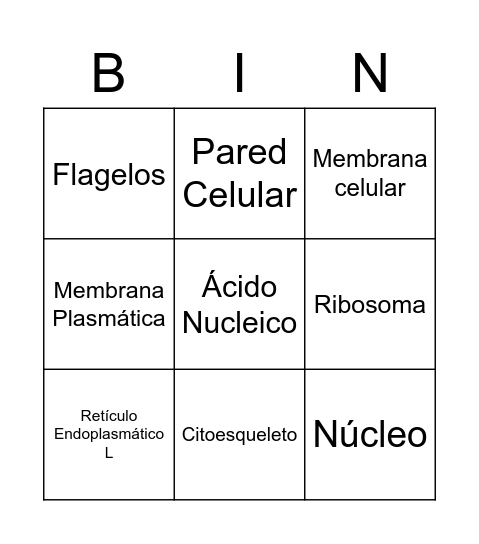 Organelos Bingo Card