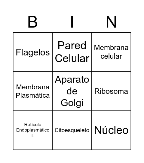 Organelos Bingo Card