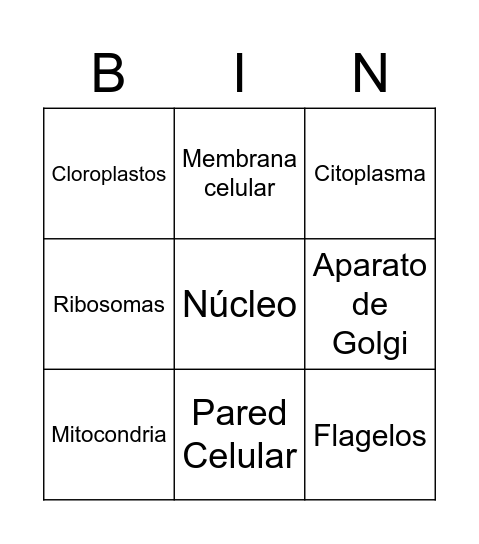 Organelos Bingo Card
