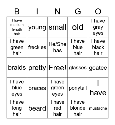 Physical Descriptions Bingo Card