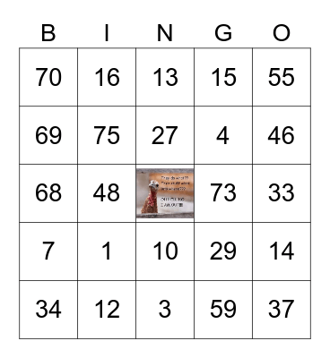 The biggest Turkey Bingo Card