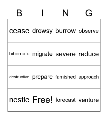 Vocabulary Bingo! Bingo Card