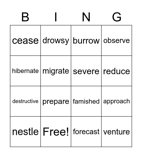 Vocabulary Bingo! Bingo Card