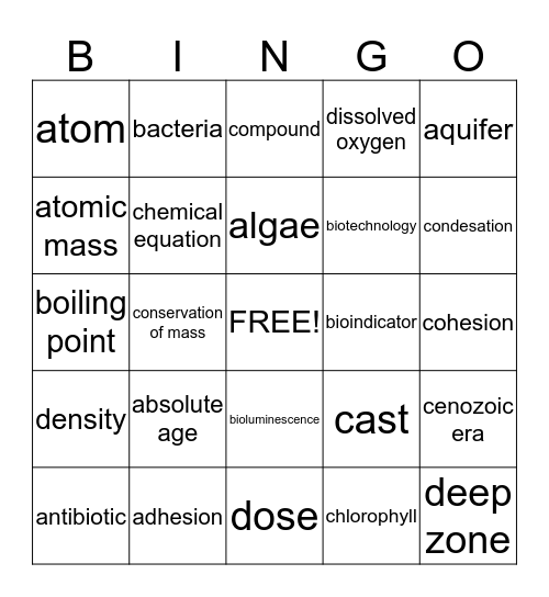 review terms 1 Bingo Card