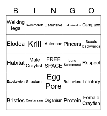 CREEPY CRAWLY CRAYFISH Bingo Card