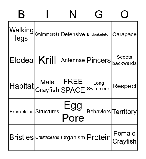 CREEPY CRAWLY CRAYFISH Bingo Card