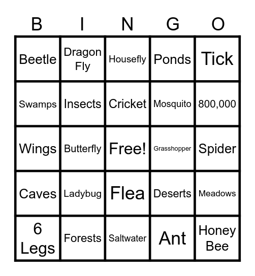 Insects Lesson #4 Bingo Card