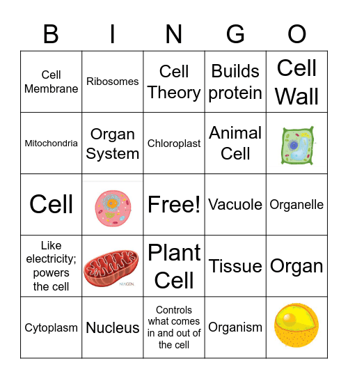 Cells Bingo Card