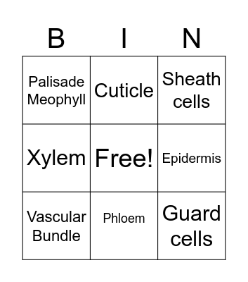 Leaf Structure BINGO Card