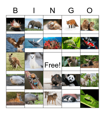 Animal Bingo Card