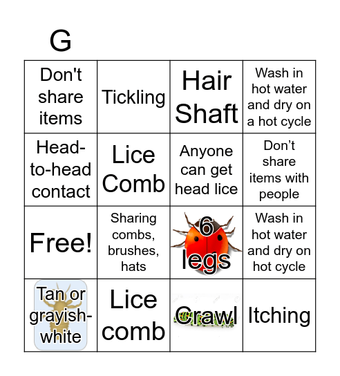 Head Lice Bingo Card
