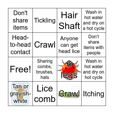 Head Lice Bingo Card