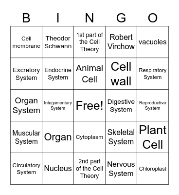 Body System Bingo Card