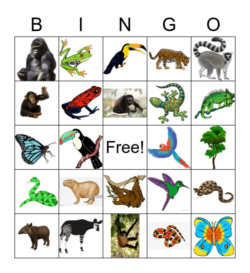 Jungle Bingo Card