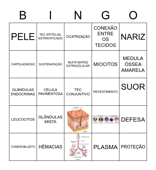 TECIDOS Bingo Card