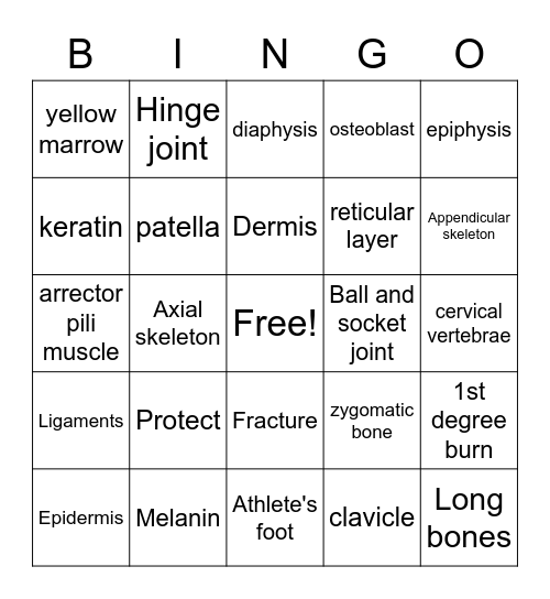Integumentary, Skeletal, and Muscular Systems Bingo Card