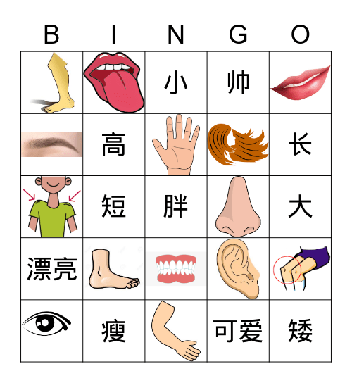 Body and description Bingo Card