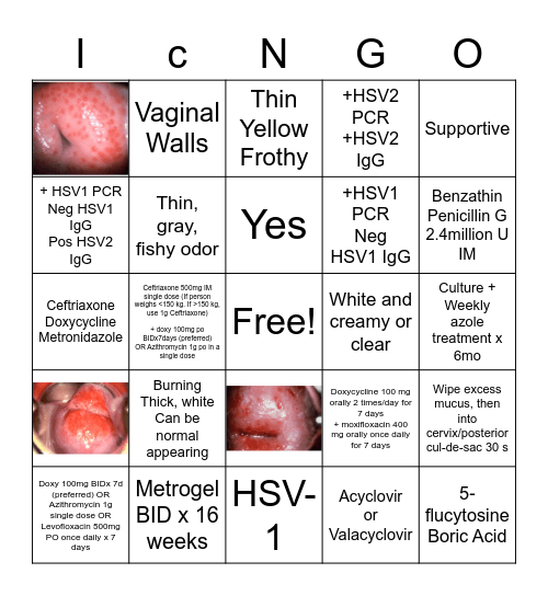ICNG- O! Bingo Card