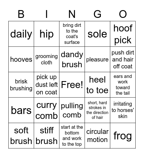 Equine 1 - Obj. 6.01 Grooming Bingo Card