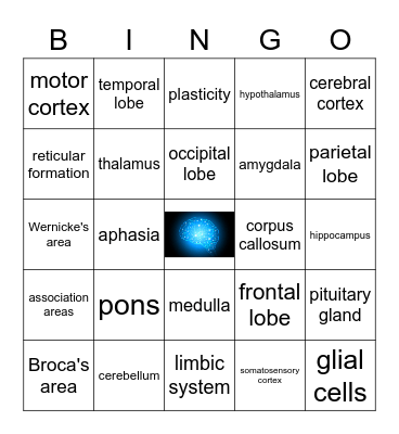 Brain Bingo Card