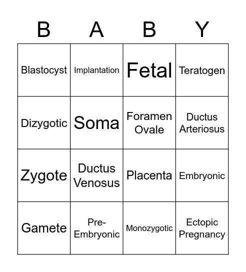 Fetal Development and Adaptation Bingo Card