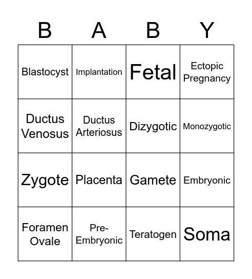 Fetal Development and Adaptation Bingo Card