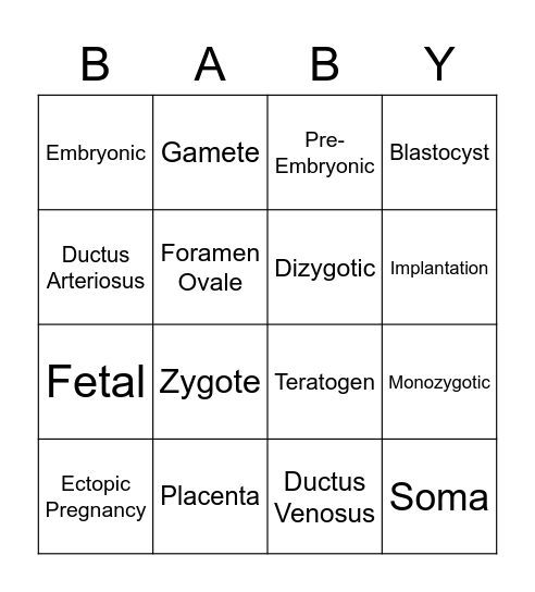 Fetal Development and Adaptation Bingo Card