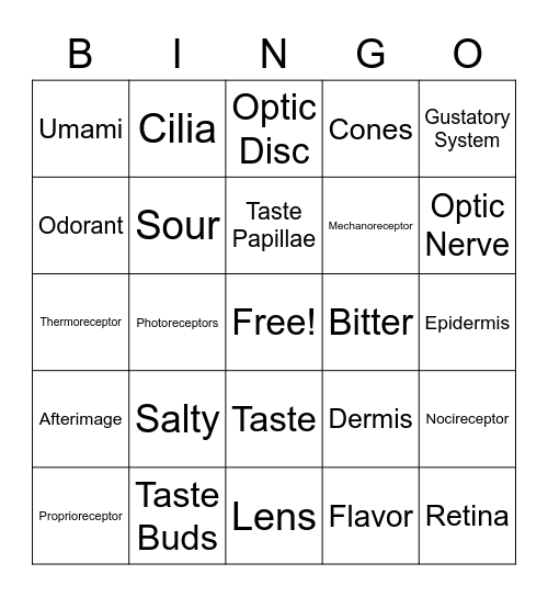 Senses Vocab Bingo Card