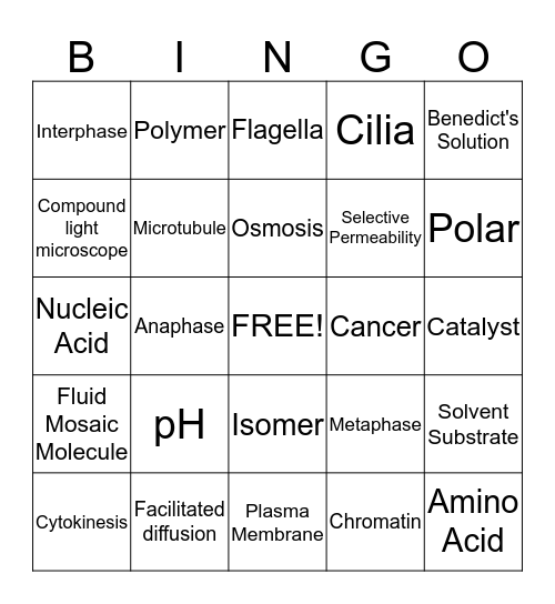 Biology  Bingo Card