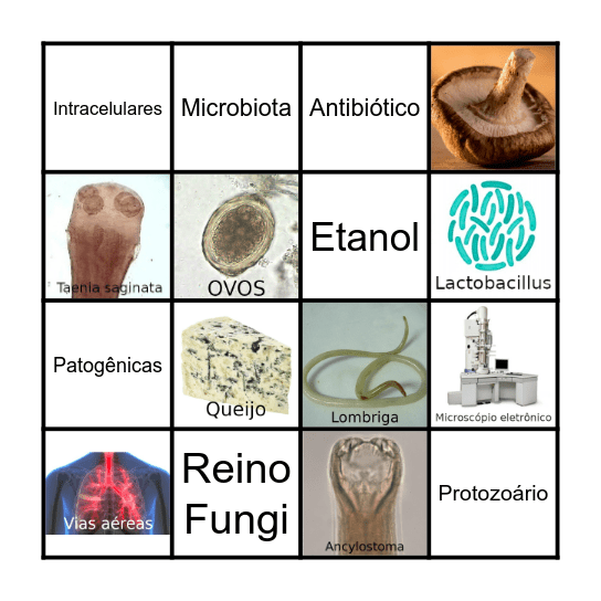 BioBingo Card