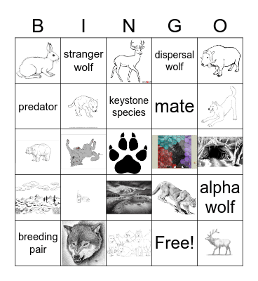 Wolf Bingo Card