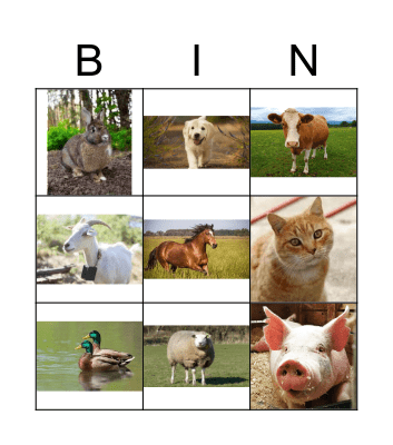 Animals Bingo Card