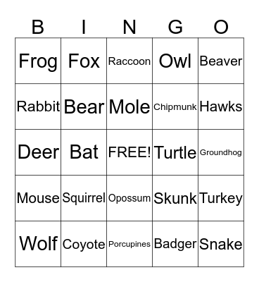 Deciduous Forest  Bingo Card