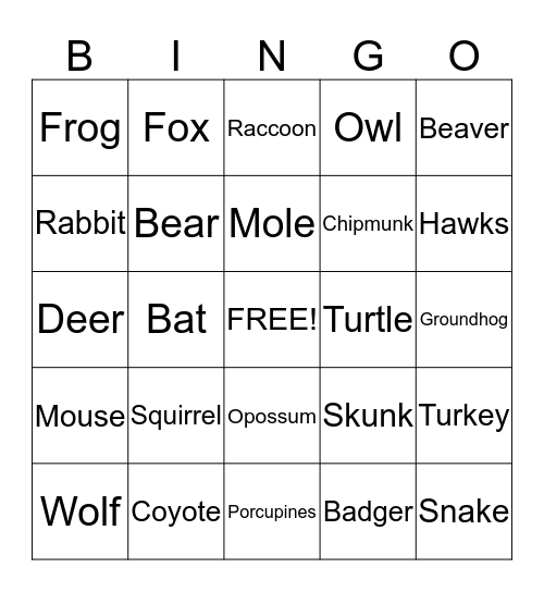 Deciduous Forest  Bingo Card