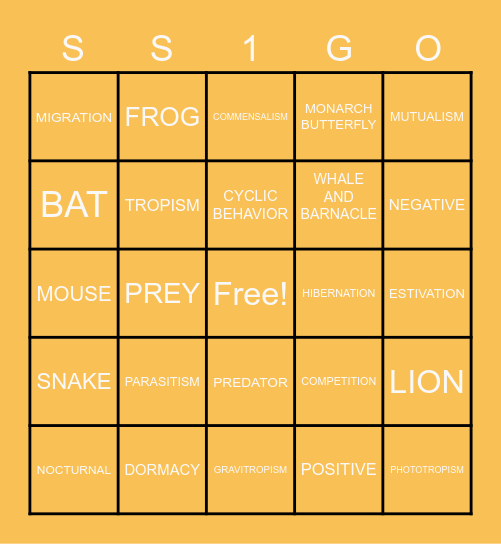SS1 Bingo Card