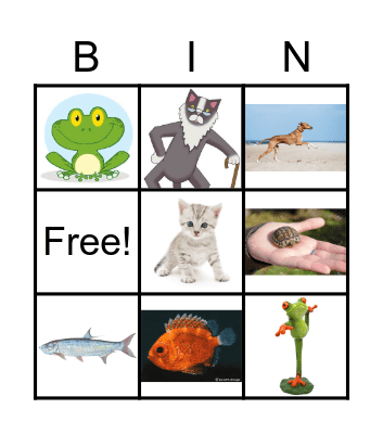 Pets! Bingo Card