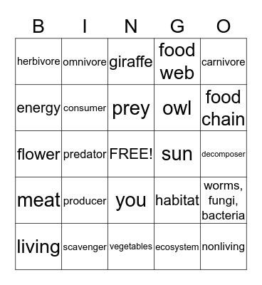 Ecology Bingo Card