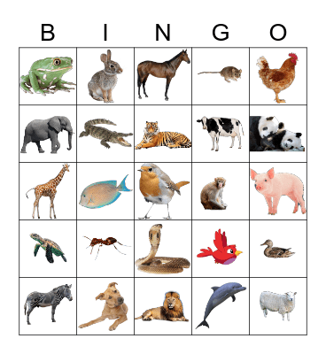 Animal Bingo Card