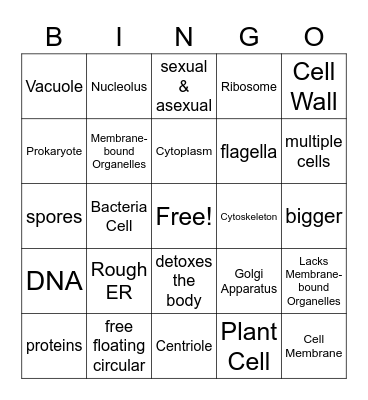 Cell Organelles Bingo Card