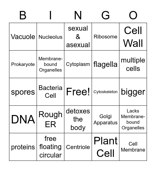 Cell Organelles Bingo Card