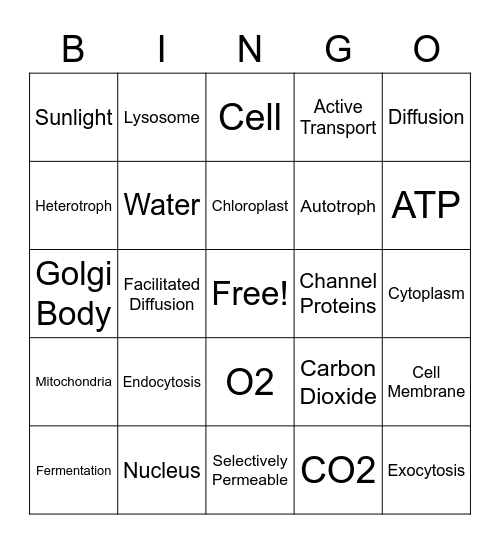 Cell Processes Bingo Card