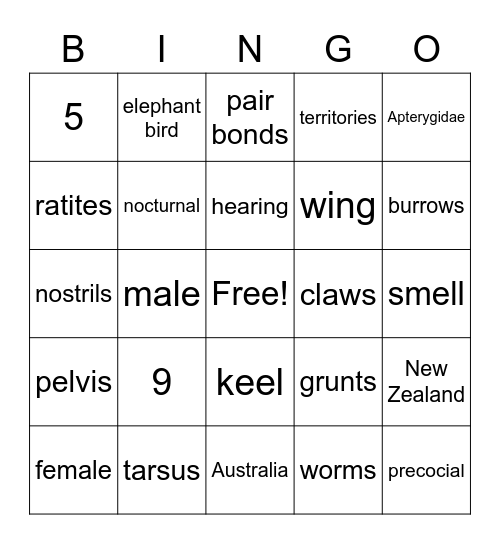 Apterygidae Bingo Card