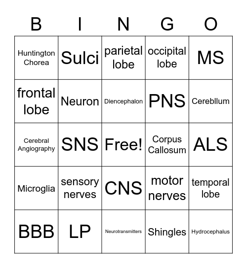 Nervous System Bingo Card