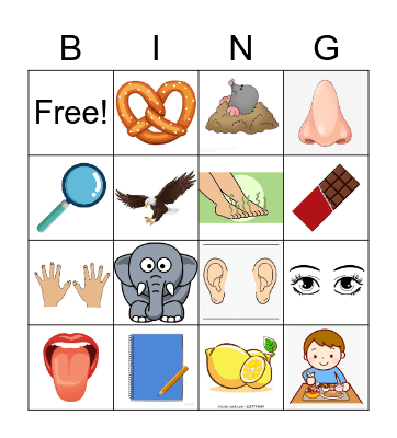 We Are Scientists Bingo Card