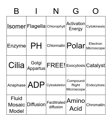 9th Grade Science Bingo Card