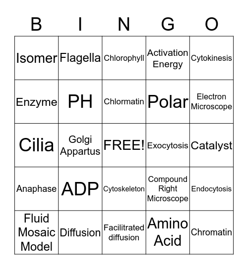 9th Grade Science Bingo Card